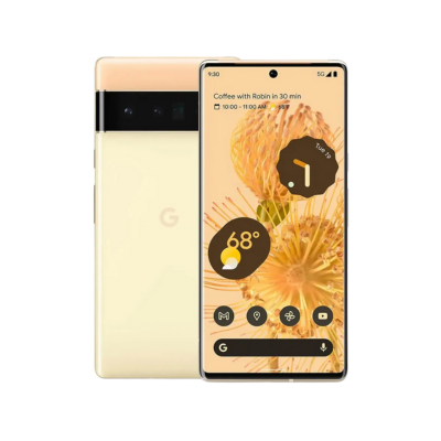Google Pixel 6 Pro