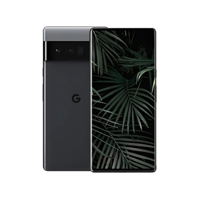 Google Pixel 6 Pro